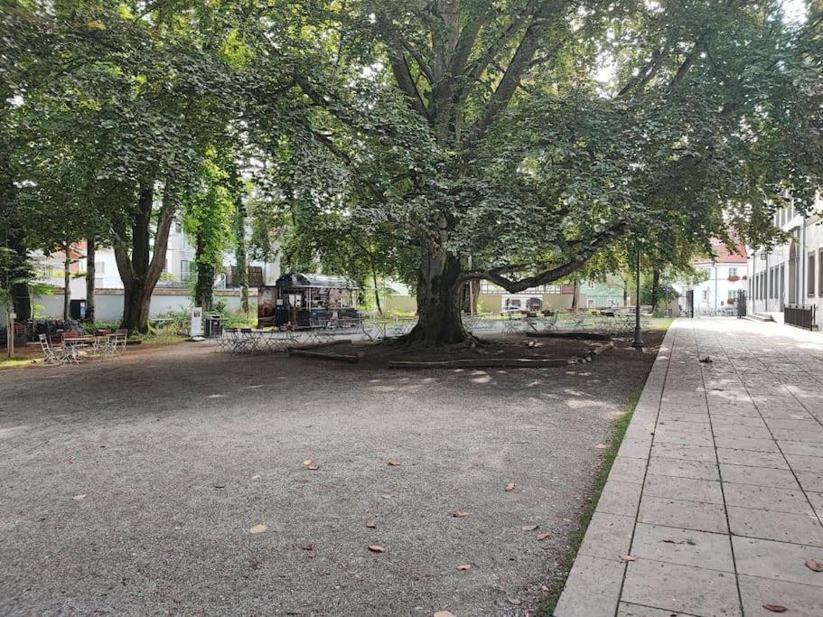 -Stadthaus Ida- Mit Grosser Dachterasse, Am Schlosspark, Luftkurort Kisslegg, Boxspringbetten, Kaffeevollautomat, Smarttv, Familienfreundlich, Grosszuegig, Zentral Ngoại thất bức ảnh